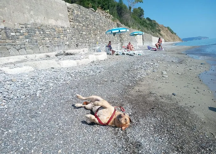 Villaggio La Marée Parco vacanze Pisciotta