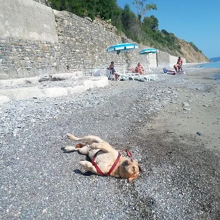 Villaggio La Maree Semesterpark Pisciotta